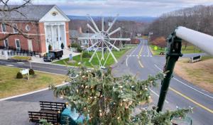 Brothers' Tree Service