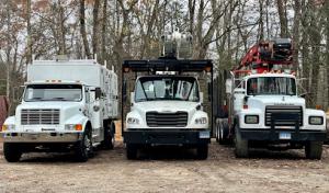 Lone Pine Tree Service