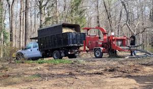 Centreville Tree Services