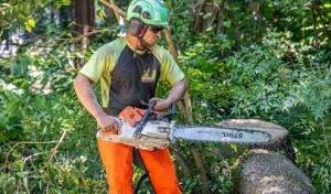 Monster Tree Service of the Brandywine Valley