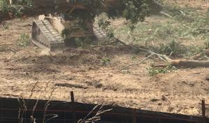 America Tree Service