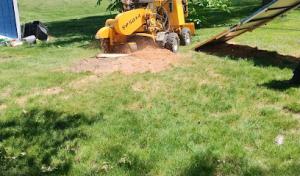 Firewood Unlimited Tree Service, Landscaping