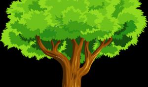 Susquehanna Valley Tree