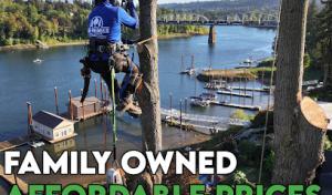 NW Premier Tree Services