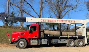 Centurion Tree Experts