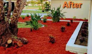 Clean View Tree Services