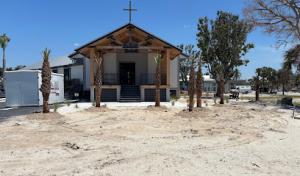 MSF Tree & Landscaping