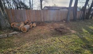 Capital tree service & landscape