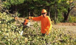 Gabriel's Landscape & Tree Services