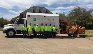 ArborTech Tree Service