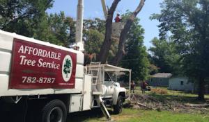 Affordable Tree Services