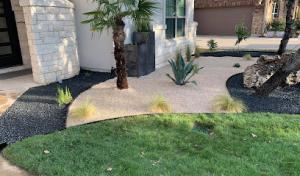 5-0 Landscape & Trees