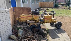 Jackson County Arborist