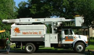 Palmetto Tree Service