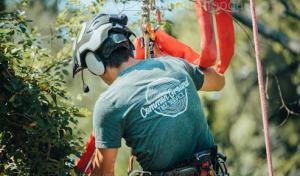 Common Ground Chattanooga Tree Service