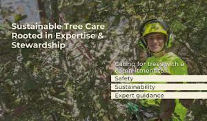 Northwood Tree Care