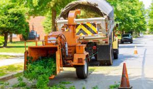 Woodchuck Chicopee Tree Service Pros