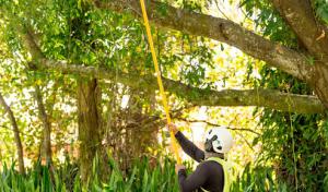 The Davey Tree Expert Company