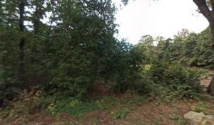 Krom's Tree Care & Landscaping