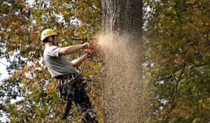 Arbor-Tech Tree Care