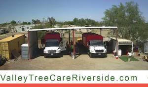 Valley Tree Care