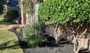 Lindgren's Lawn & Landscape