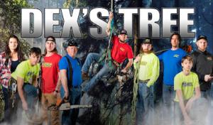 Dex's Tree Service