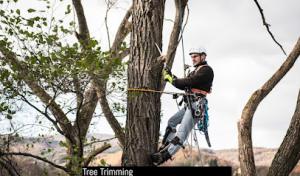R&G Tree Service