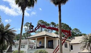 New Leaf Arboriculture