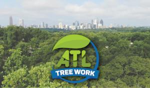 ATL Tree Work
