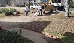 Hickey's Tree & Firewood Services