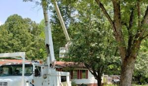 BullzEye Tree Service