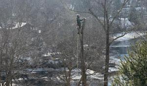 Oak Landscaping & Tree Services