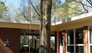 Salazar Tree Experts