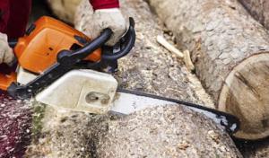 Pittsburgh Lumberjack Tree Service