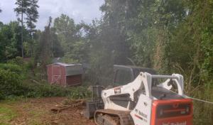 C&C Lawn Care & Tree Service