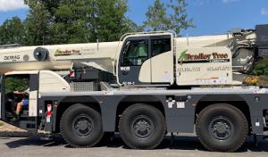 Bradley Tree & Landscape