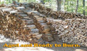 All For One Tree Service