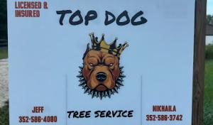 Top dog tree service