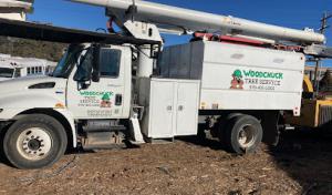 Woodchuck Tree Service