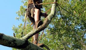 Carolina Outdoor Care
