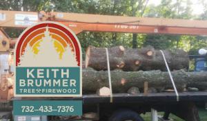 KEITH BRUMMER Tree & Firewood Service