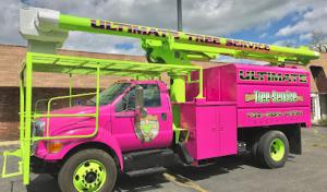 Ultimate Tree Service