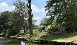 Larsen Brothers Tree Service