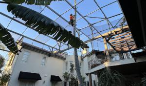 There's a Way Tree Service