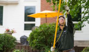 The Davey Tree Expert Company