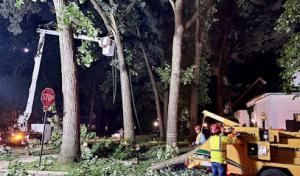 Branching Out Tree Service