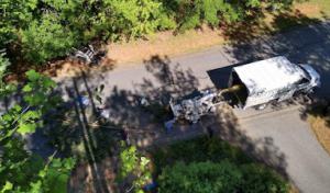 Campbell’s Tree Experts