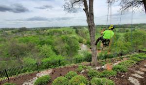 Spira Tree Care - Tree Removal & Tree Cutting Service