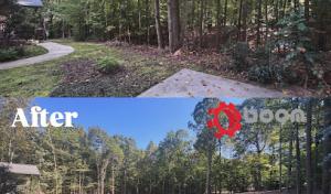 Boom Brush Control Land Management